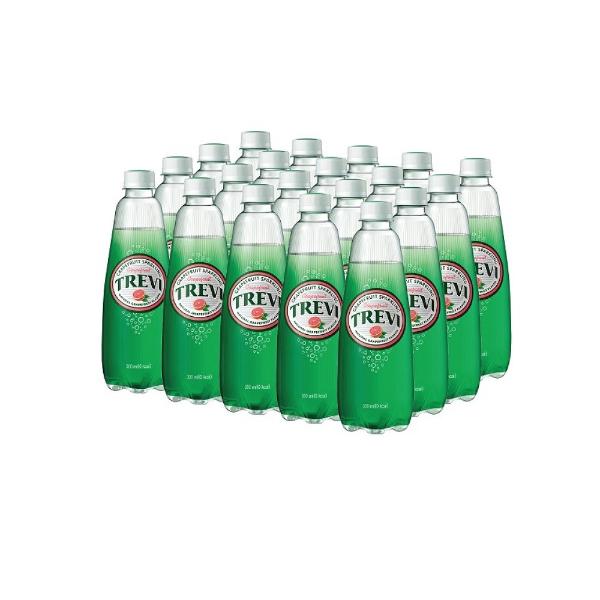 [업체별도배송]트레비 자몽 (300ml/20개/BOX/롯데칠성음료)