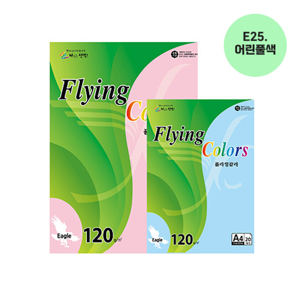 플라잉칼라 A4(E25/어린풀색/120g/20매/삼원)