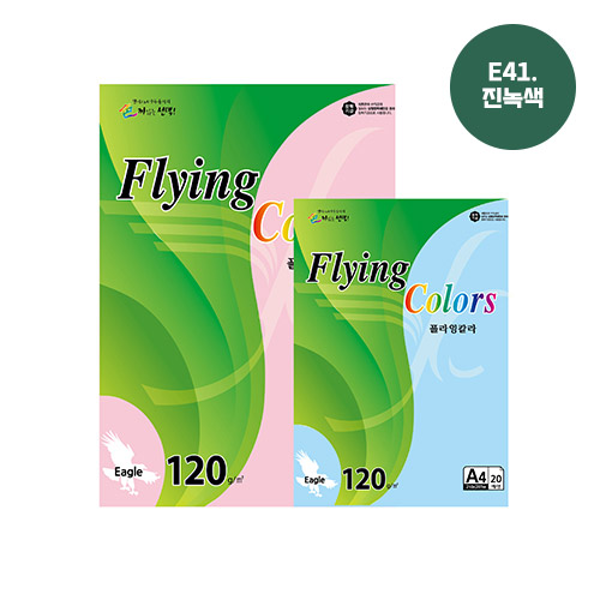 플라잉칼라 A4(E41/진녹색/120g/20매/삼원)